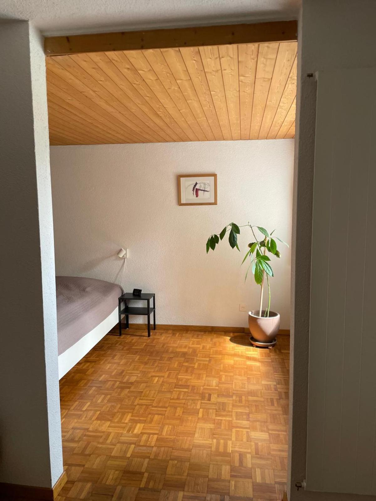 2.5 Zimmerwohnung, Pinut Trin Exterior photo